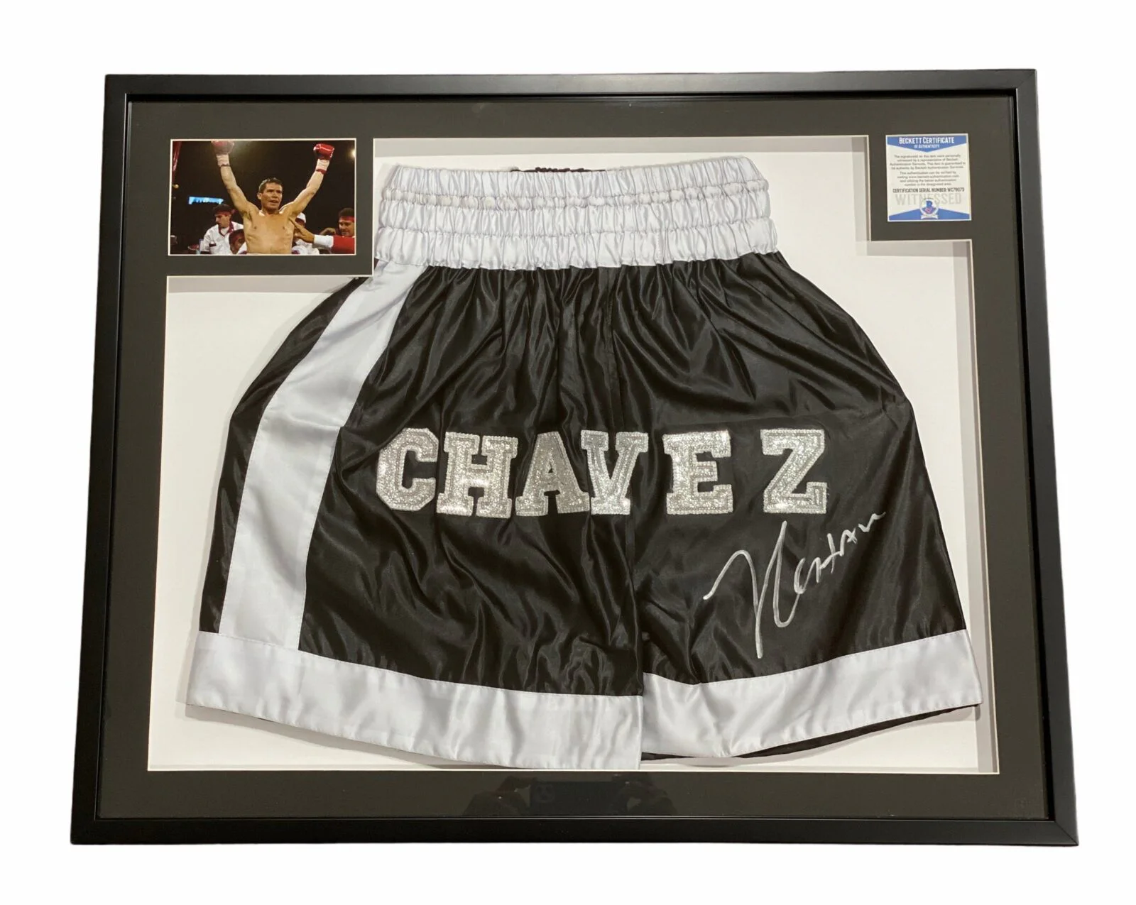 Shorts Enmarcados / Box / Julio Cesar Chavez