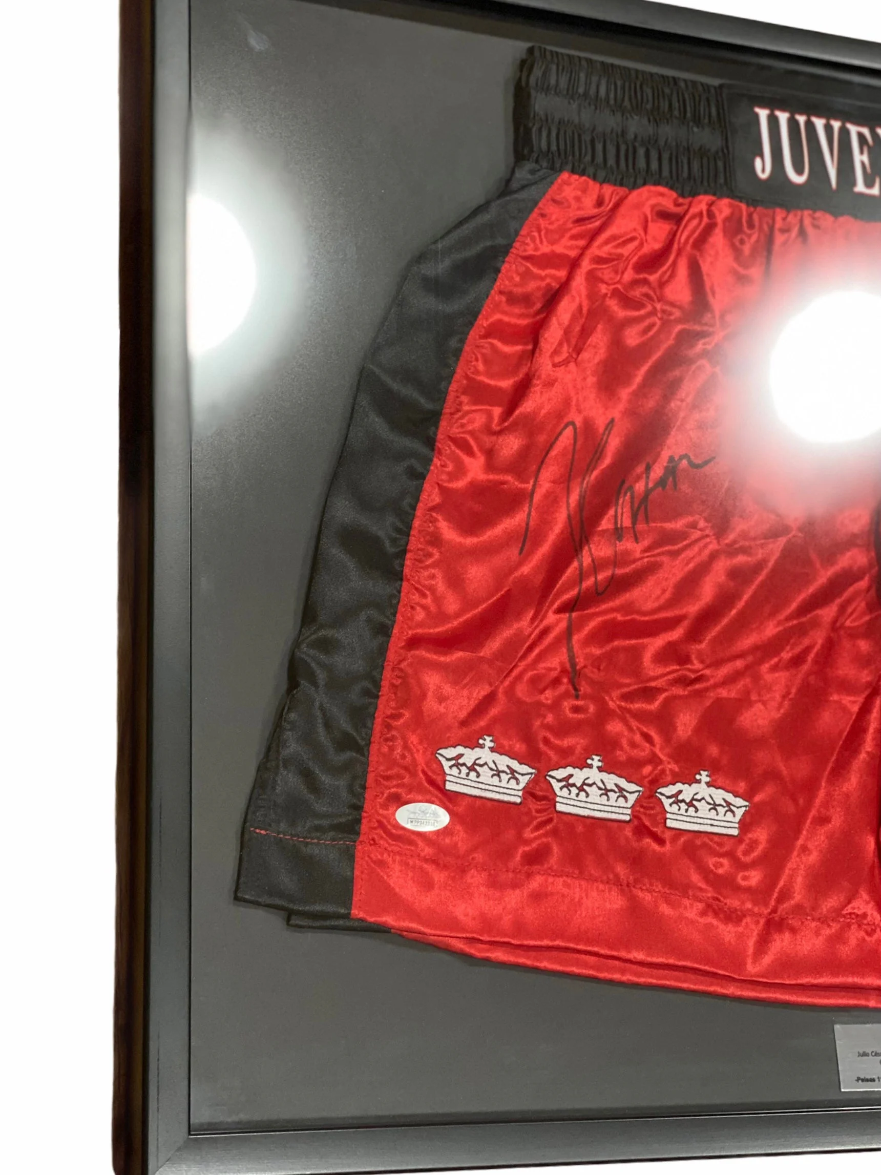 Shorts Enmarcados / Boxeo / Julio Cesar Chavez - Image 4