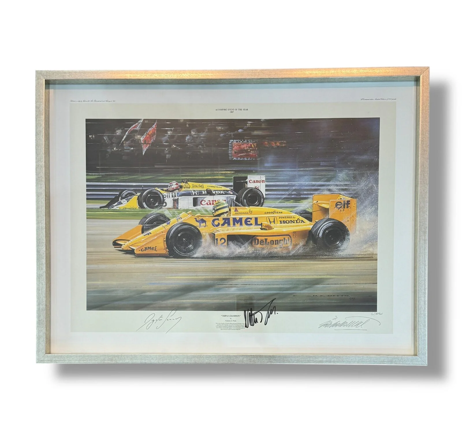 Litografia Enmarcada / Lotus / Ayrton Senna