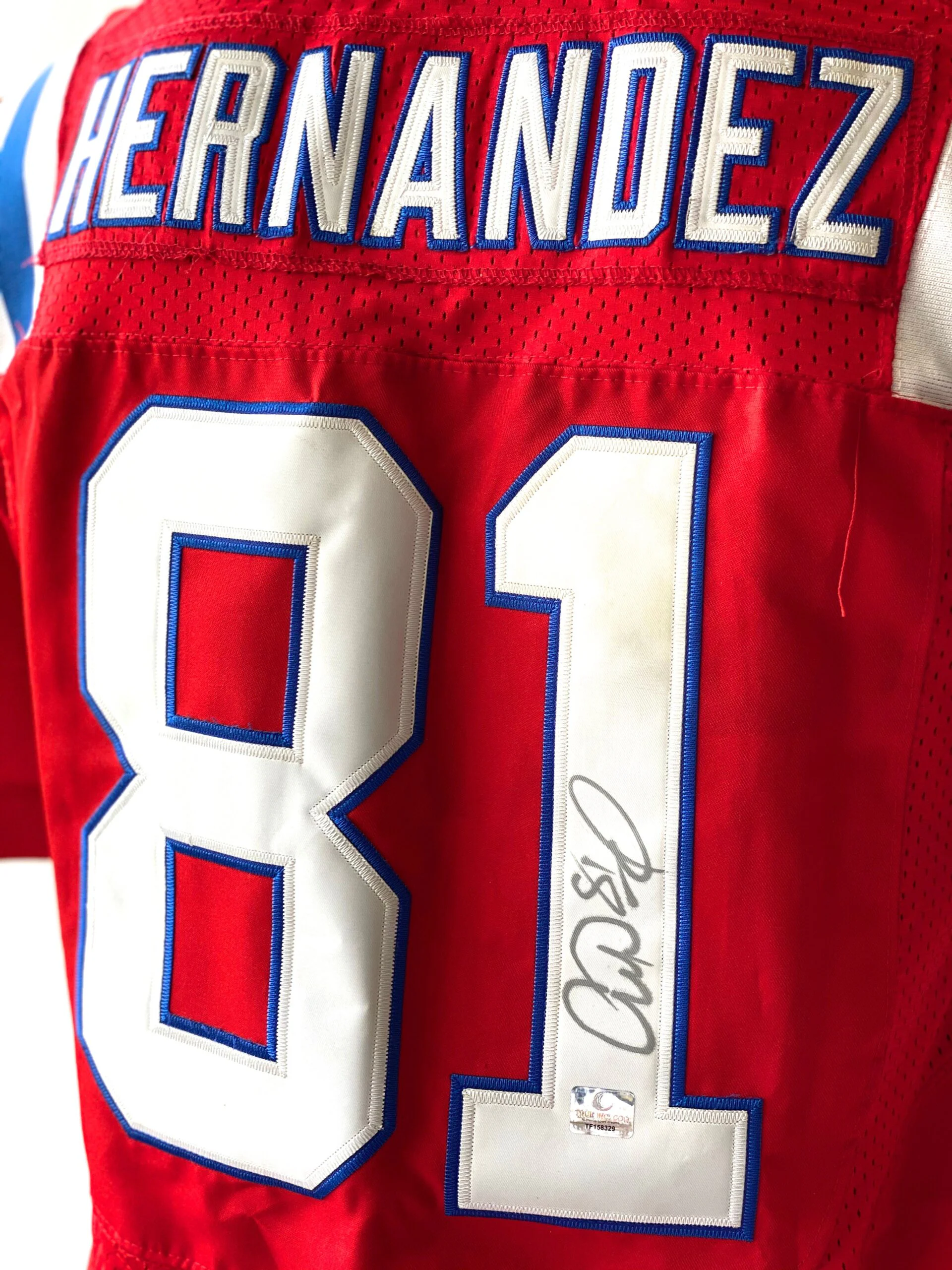 Jersey | Patriots | Aaron Hernández - Image 2