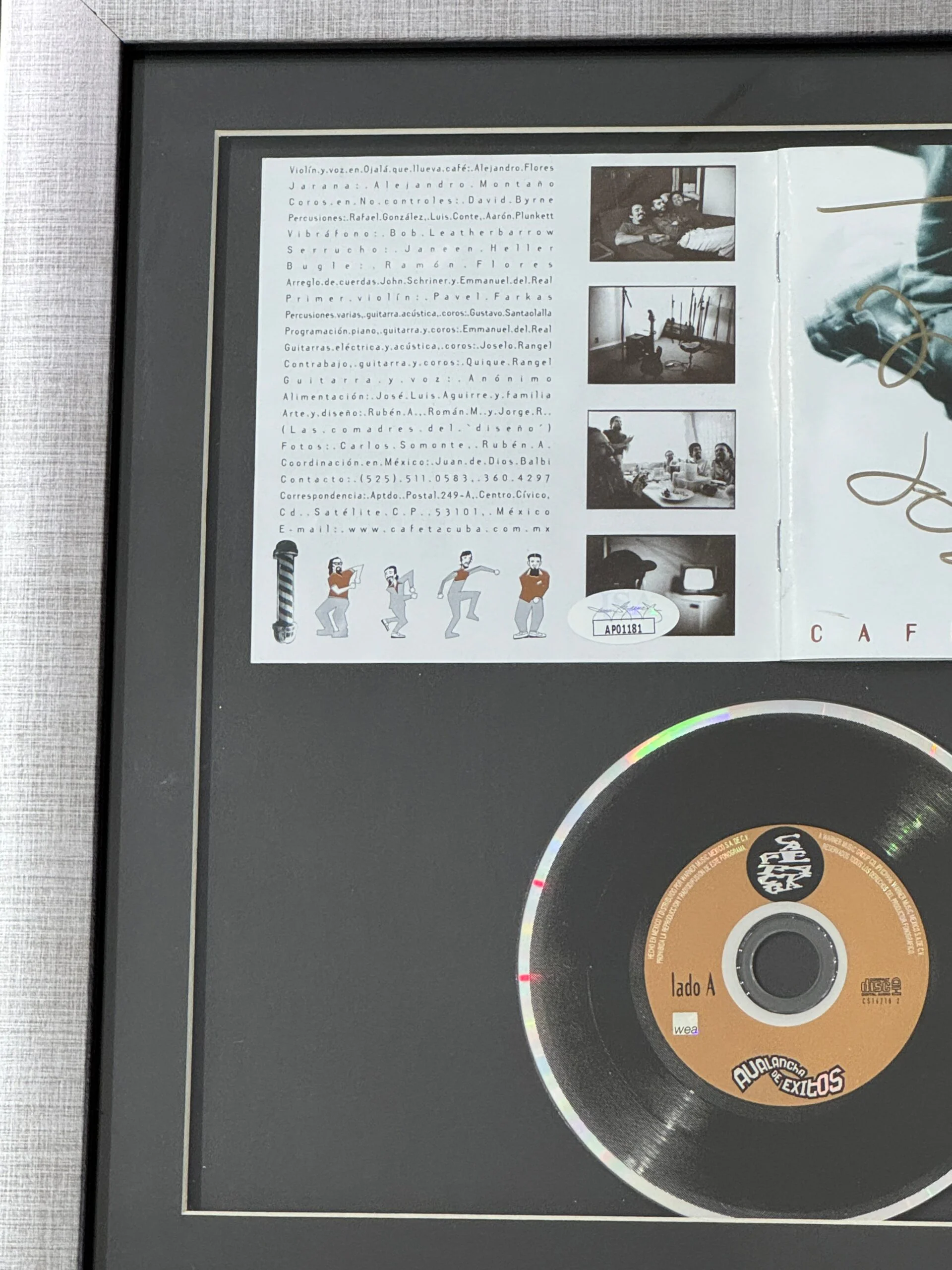 Disco LP Enmarcado / Musica / Café Tacuba - Image 2