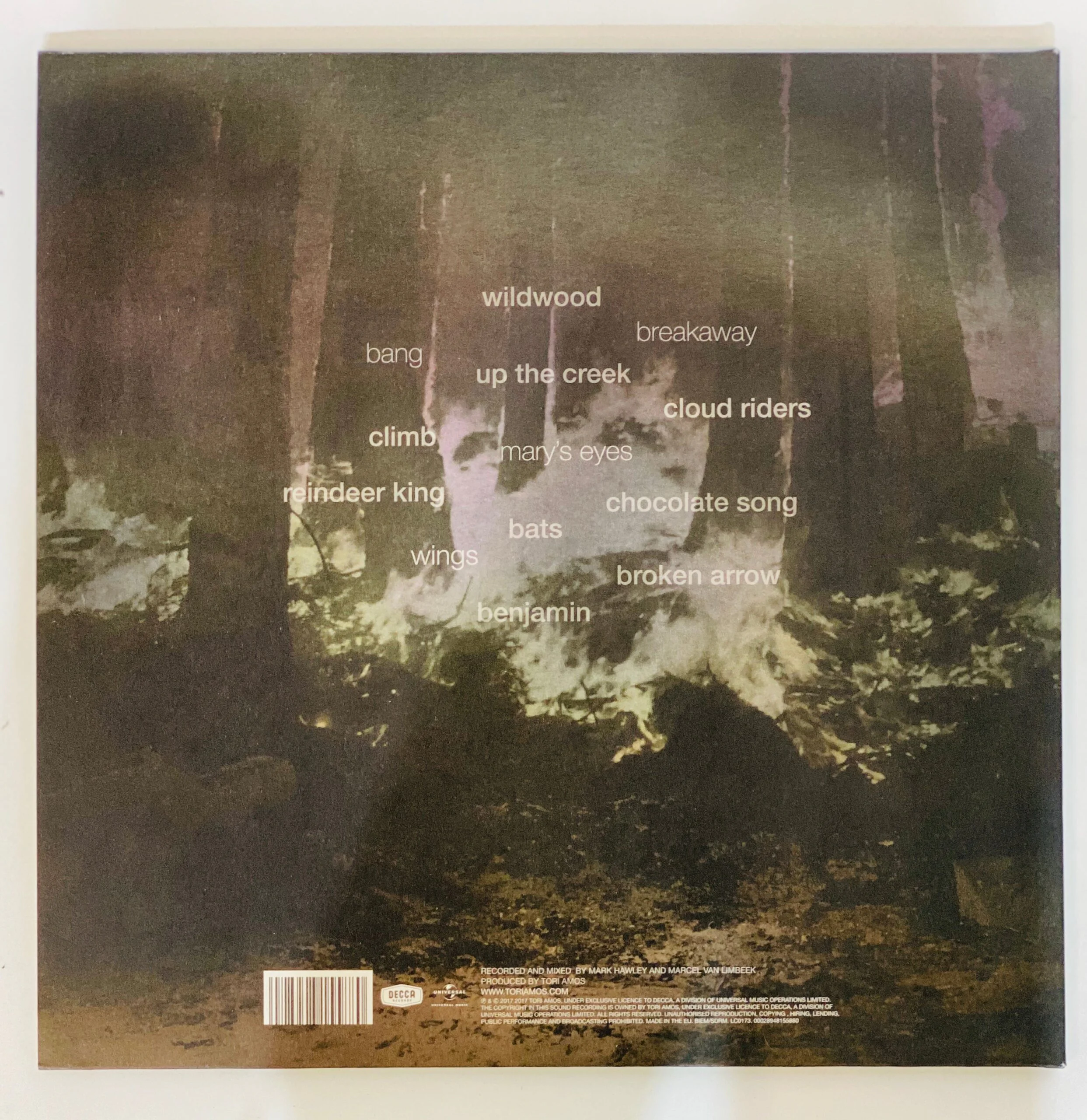 Disco LP | Tori Amos - Image 4