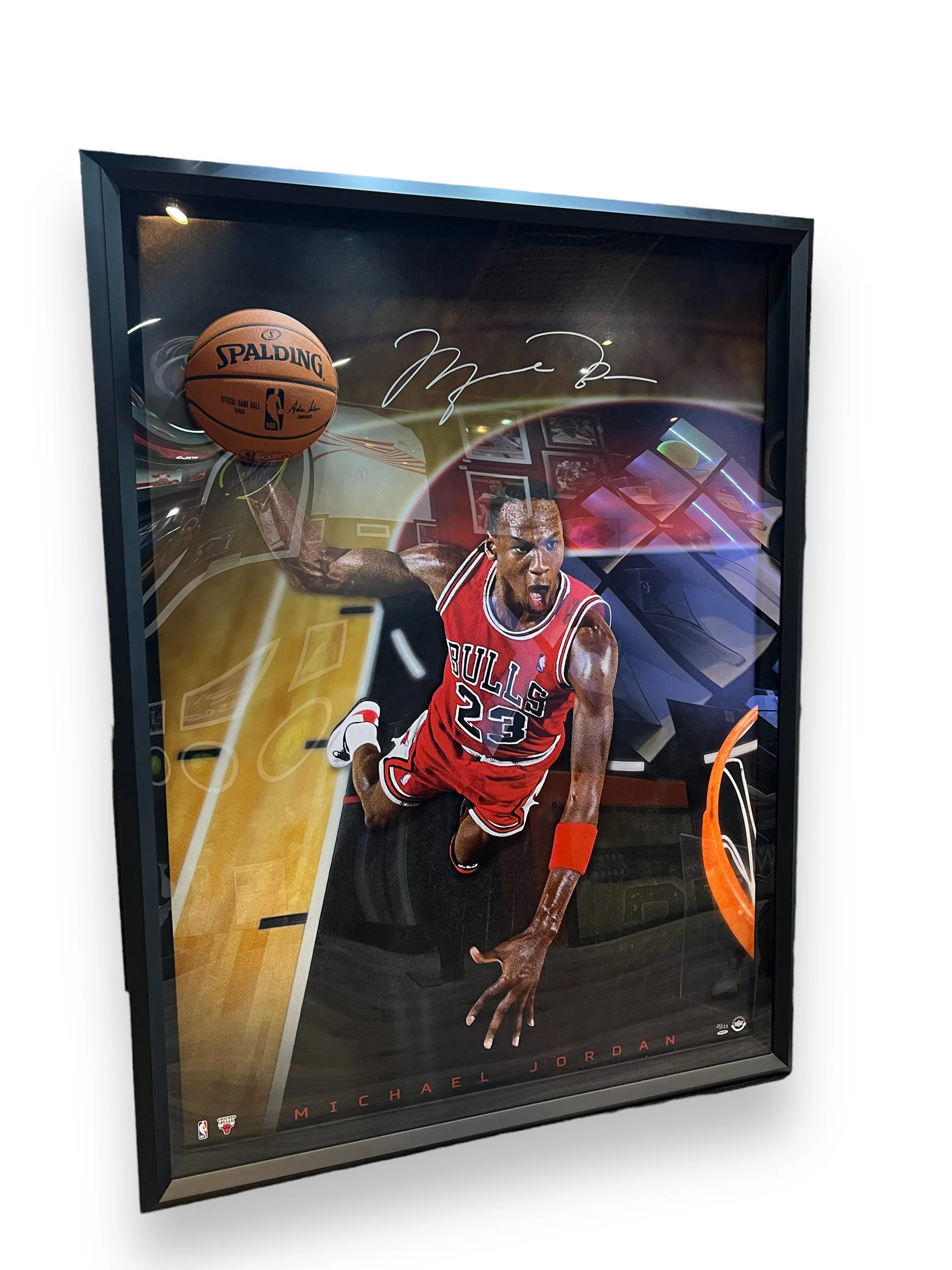 Cuadro / Bulls / Michael Jordan