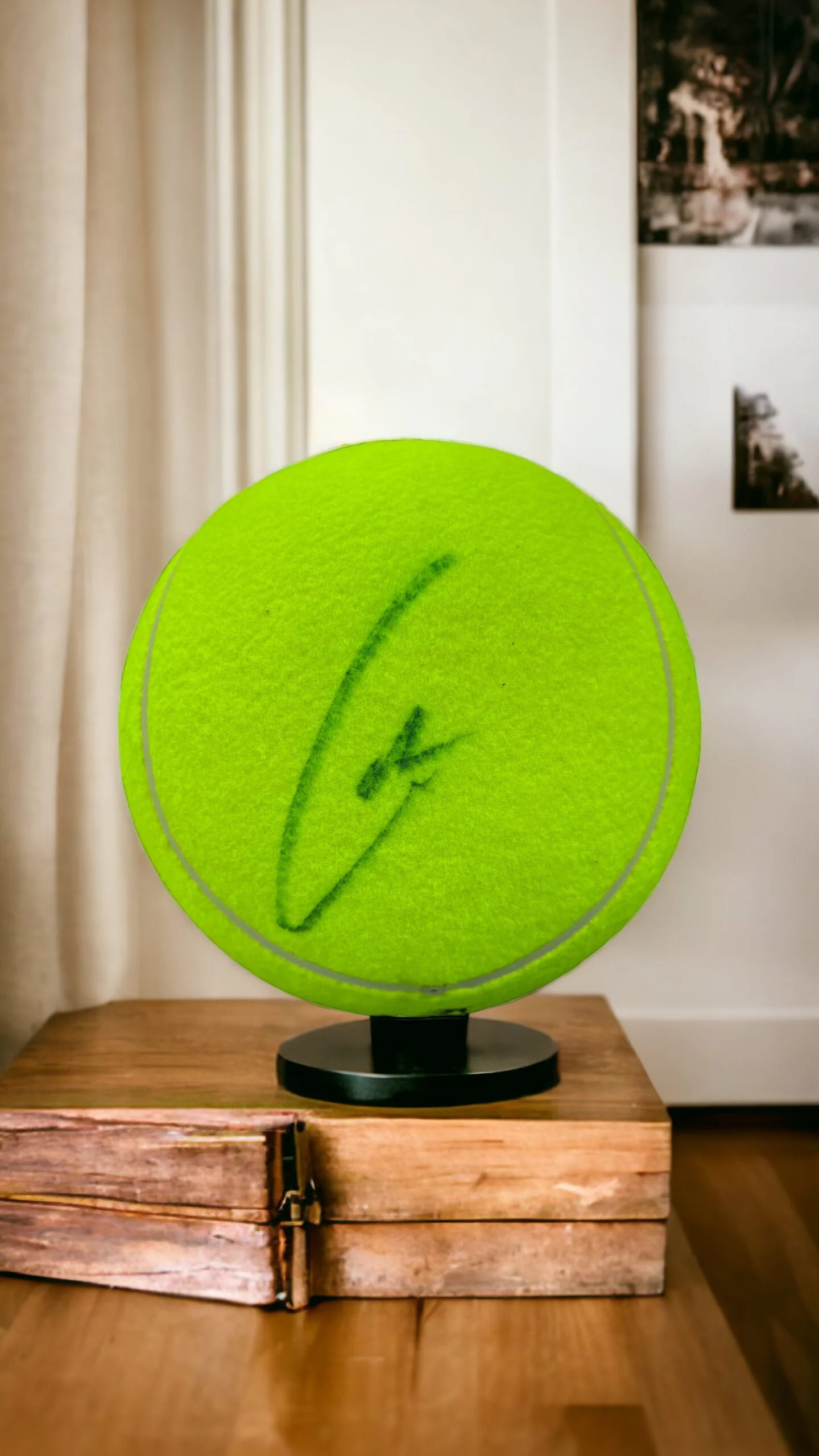 Pelota Gigante / Tenis / Carlos Alcaráz - Image 6