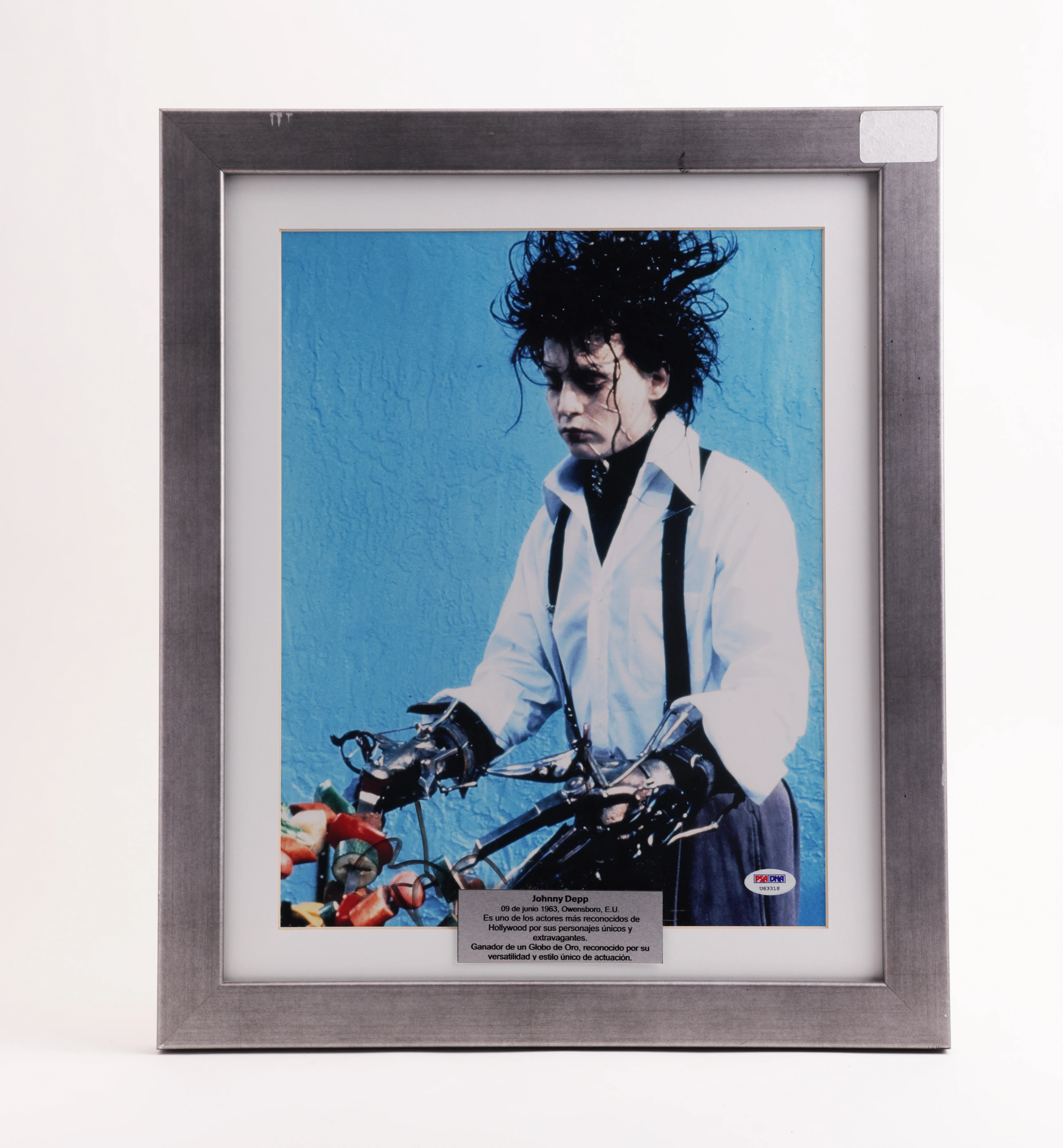 Fotografía Johnny Depp Edward Scissorhands