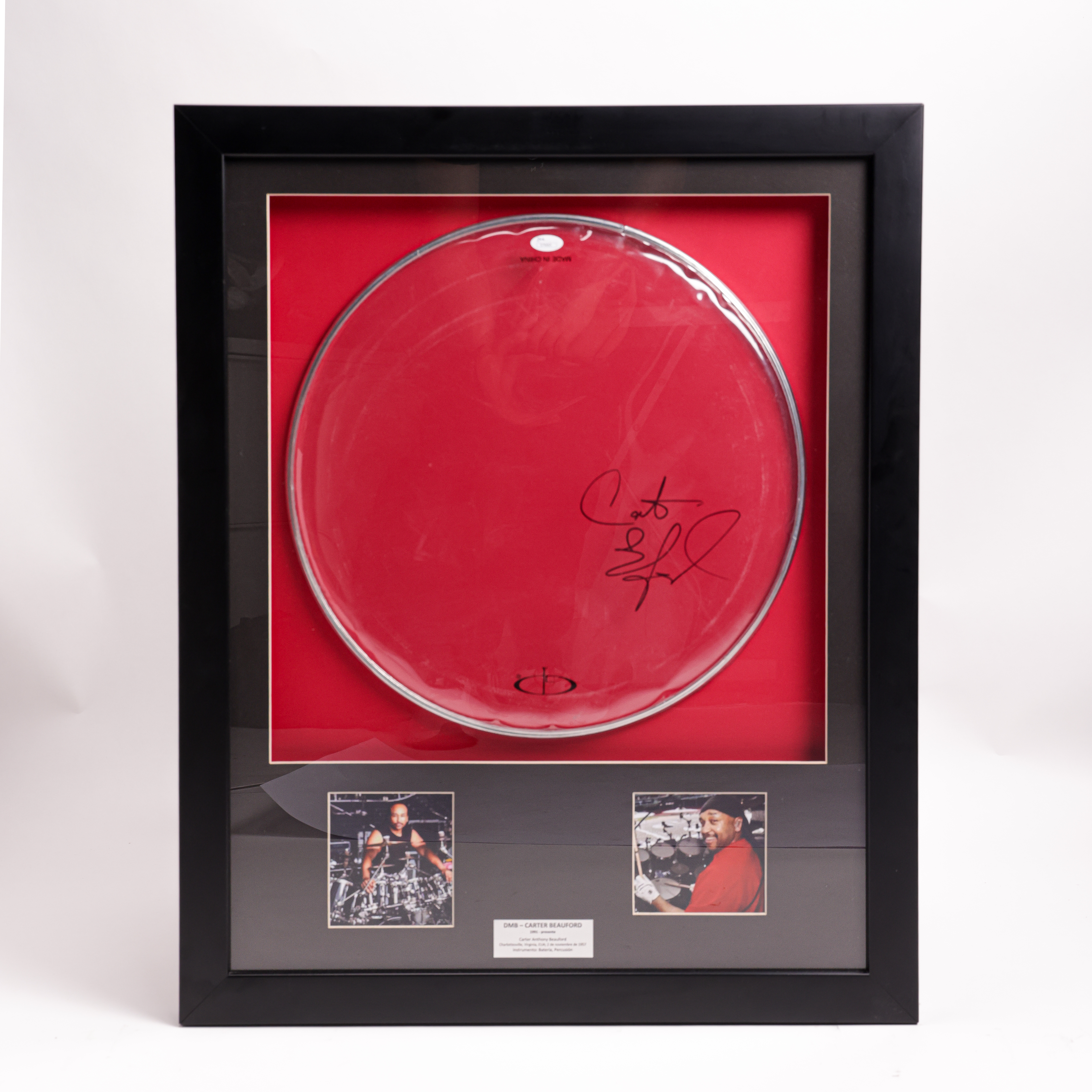 DrumHead Carter Beauford Dave Matthews Band