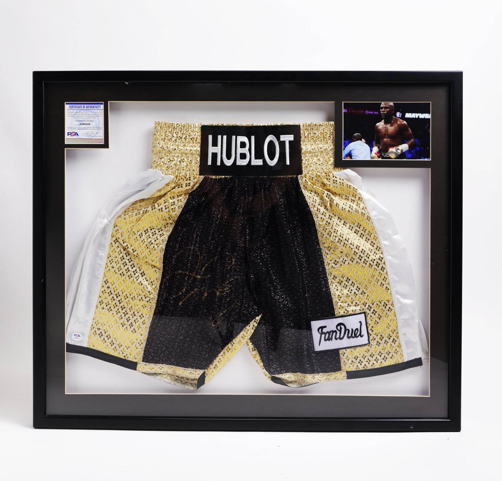 Floyd Mayweather
