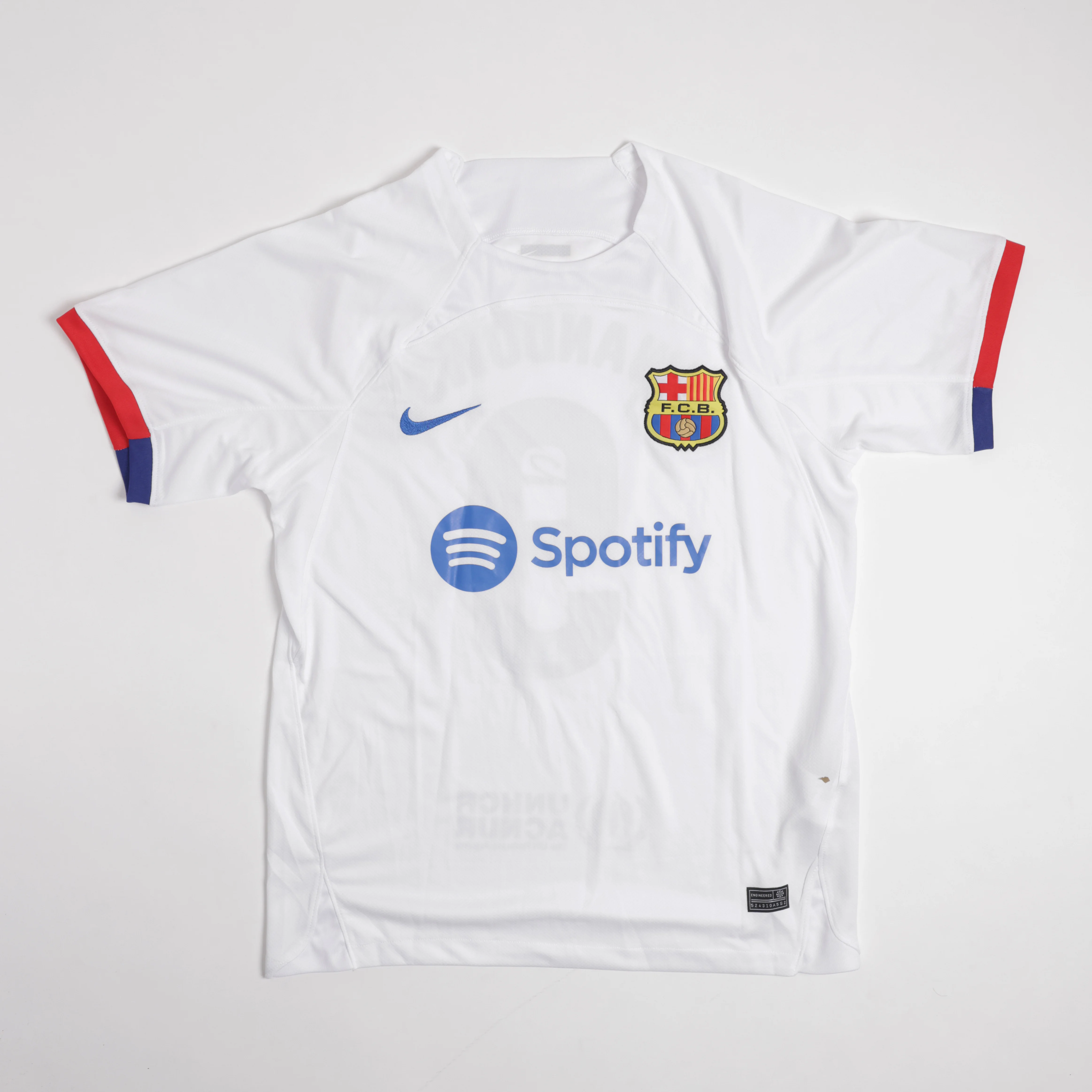 Robert Lewandowski - Image 2