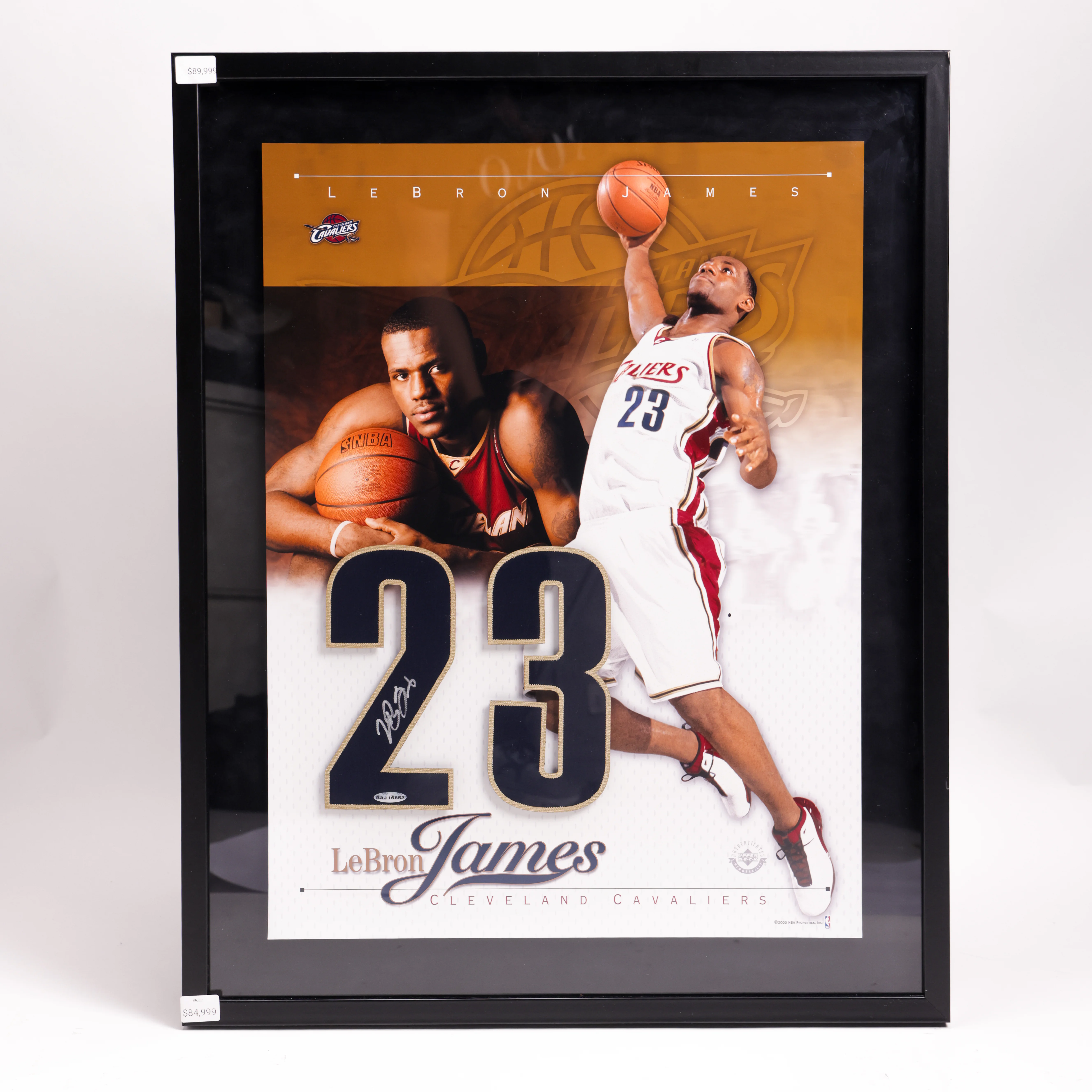 LeBron James