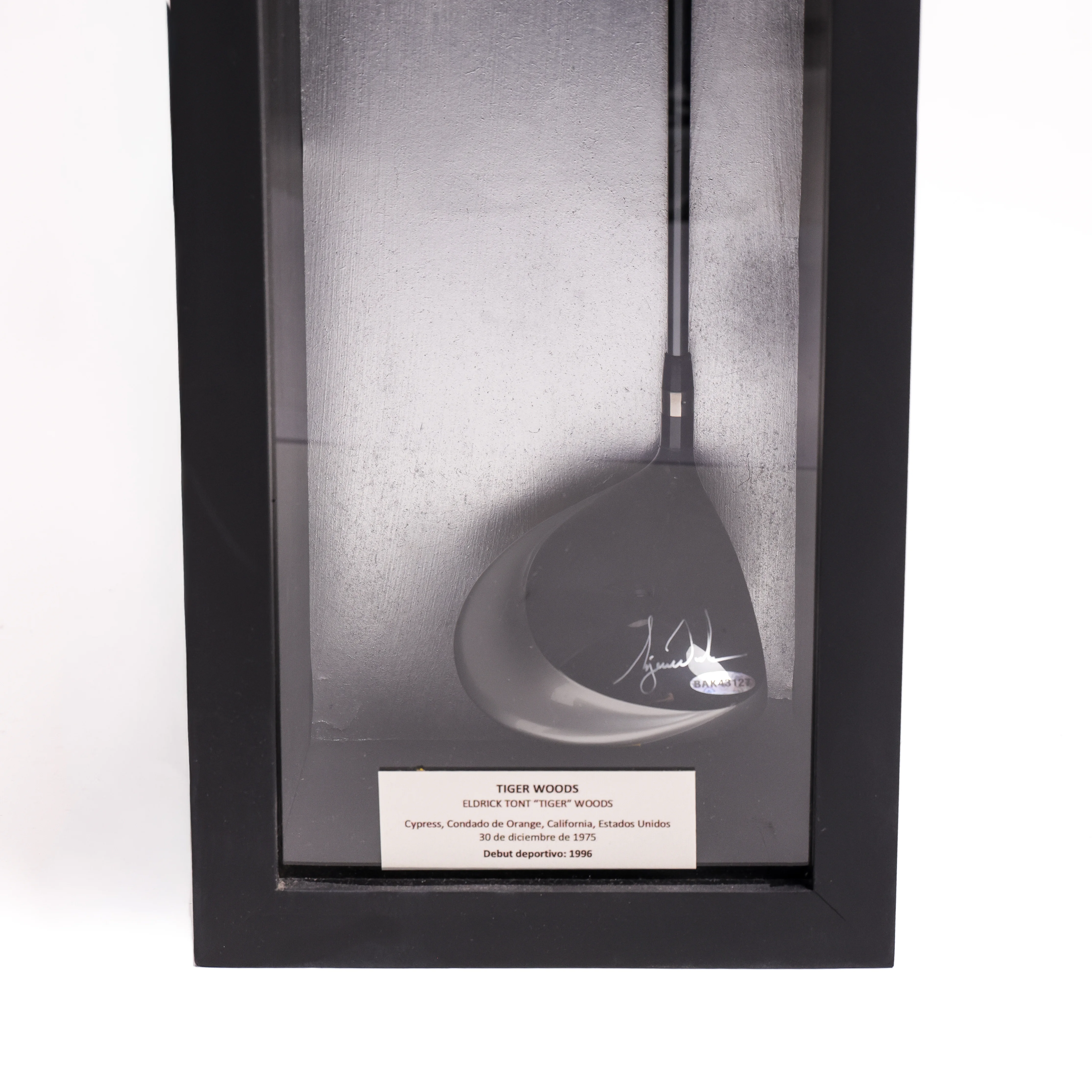 Tiger Woods - Image 3