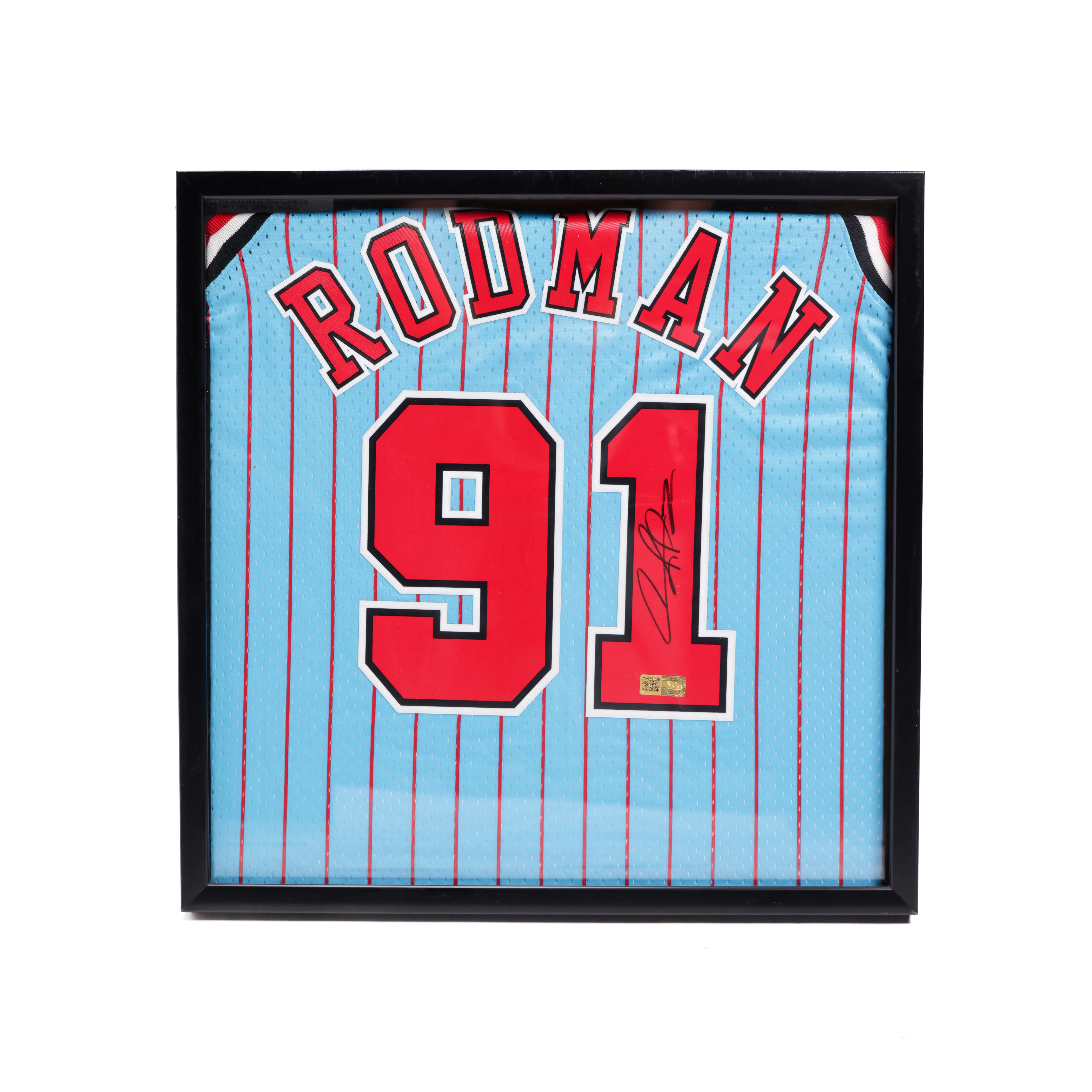 Dennis Rodman