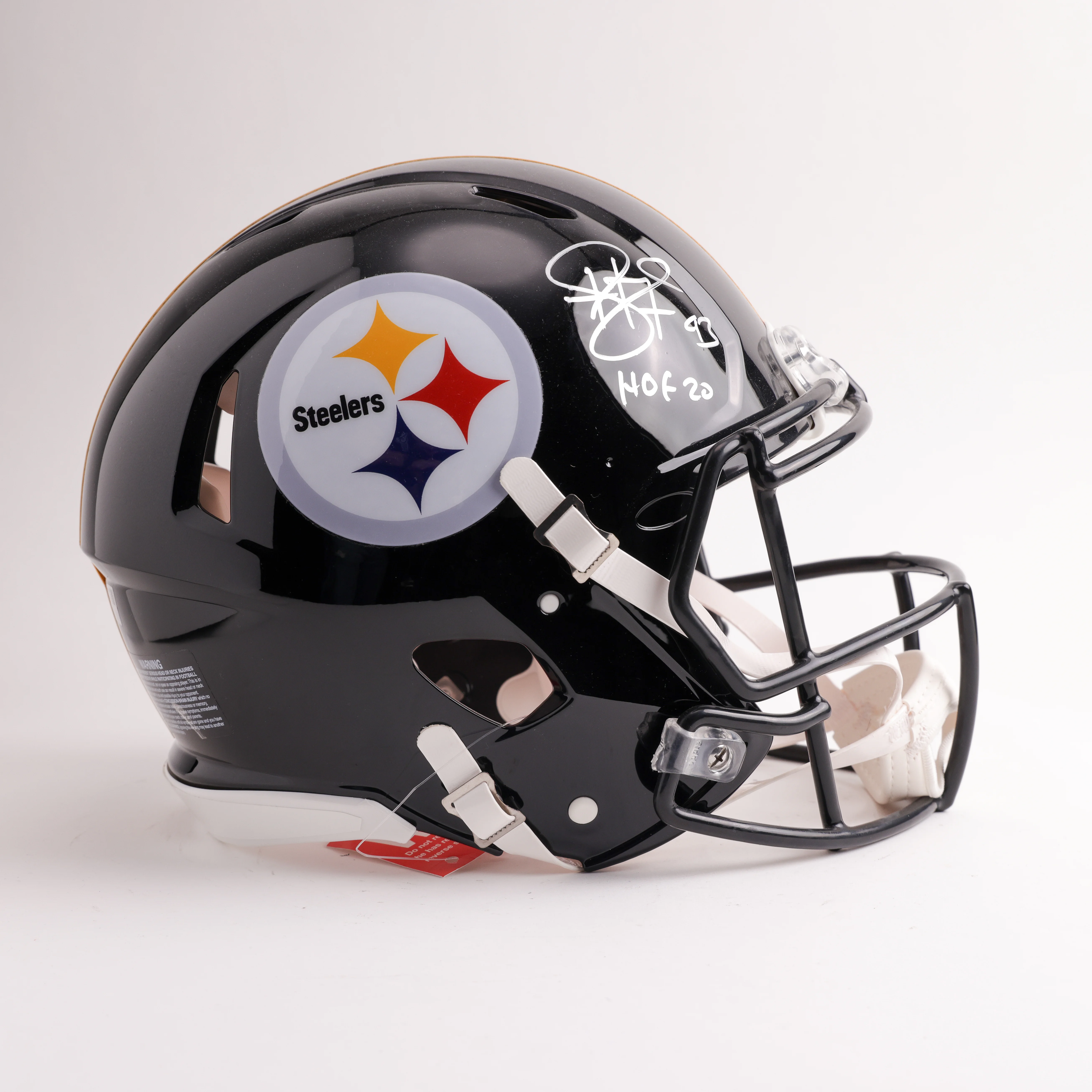 Troy Polamalu - Image 2
