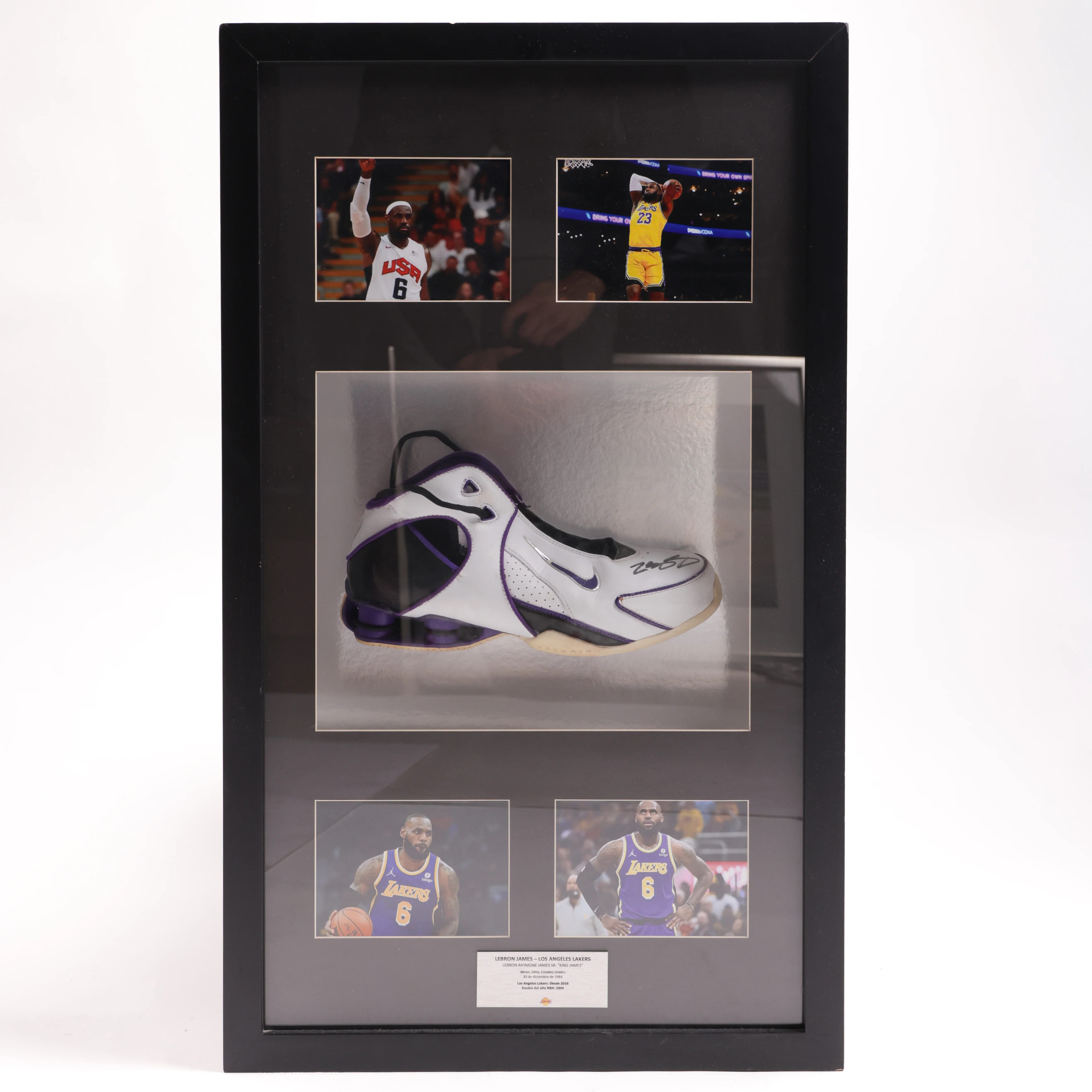 LeBron James